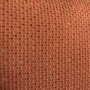 Meet your Posher, Tanya